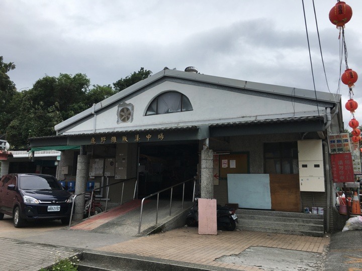 搭末班車「藍皮普快」騎遊台東鹿野