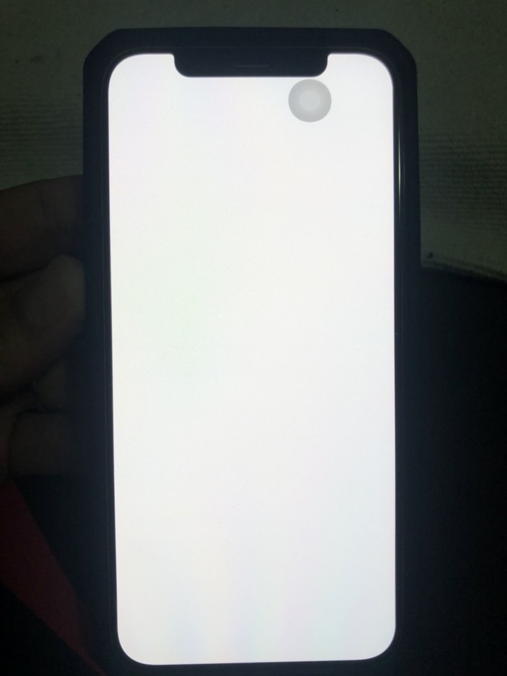 iPhone 12 螢幕出現殘影(烙印?) - 更新復原照片