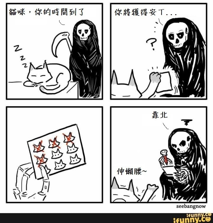 11.4 趣味梗圖 🐻🐻