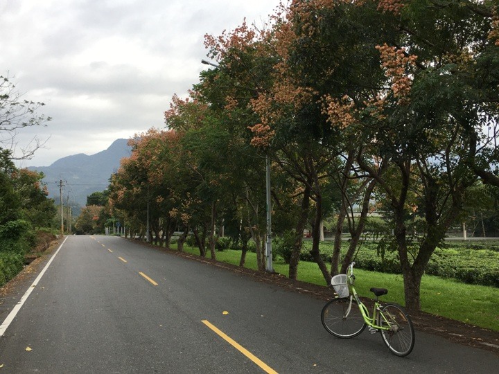 搭末班車「藍皮普快」騎遊台東鹿野