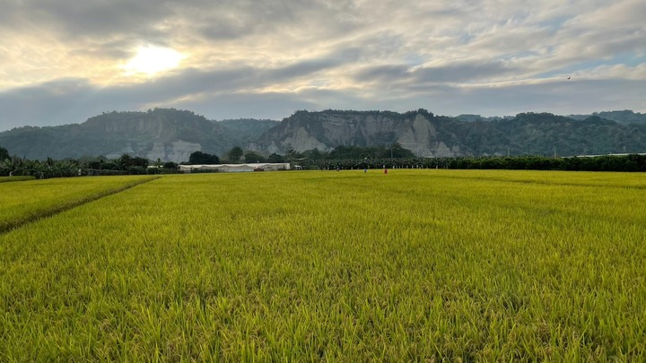 南投｜瑞櫻山莊露營區 + 竹山向日葵花海