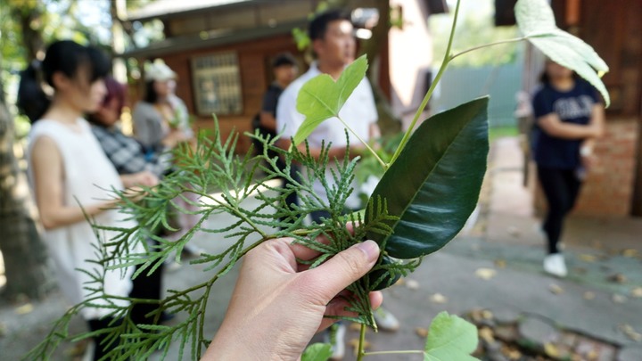 ★南投國姓★【糯米橋客家庄農遊微旅行】茄苳神木/阿坤香茅工坊絲瓜皂DIY/梅庄休閒渡假中心泡腳/糯米橋咖啡工坊DIY。