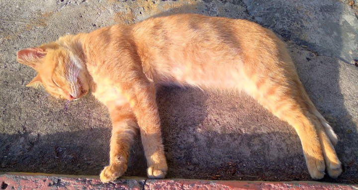 海蝕洞與朝陽步道