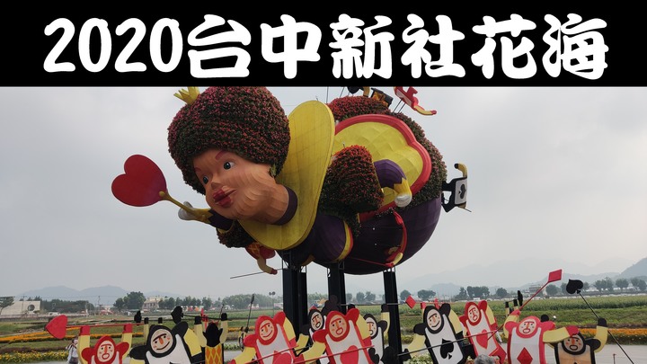 2020台中新社花海