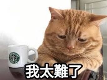 明星三缺一不只有麻將?!