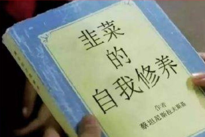 數字 (5287) 某討論區 很夯.買氣激增外資+自營.低調梭哈歐印的定存股.該跟風歐印存股?
