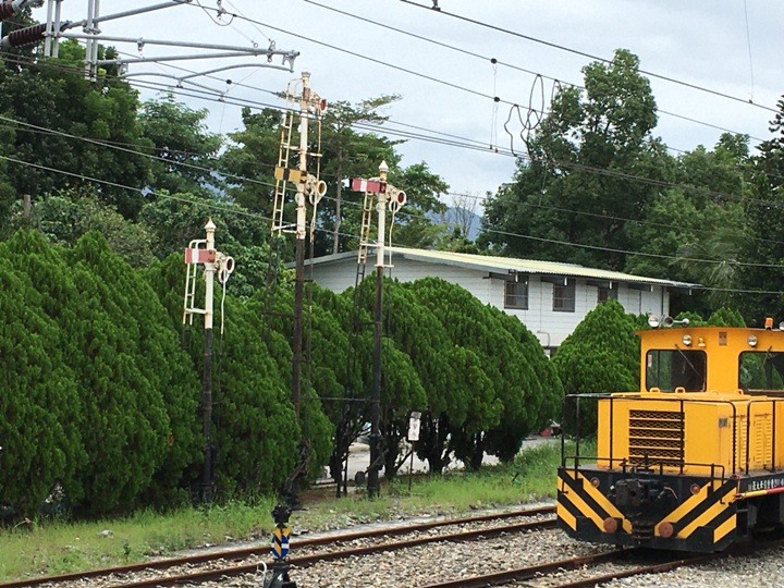 搭末班車「藍皮普快」騎遊台東鹿野