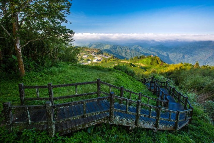 阿里山「二延平步道」雲海、夕陽好風光
