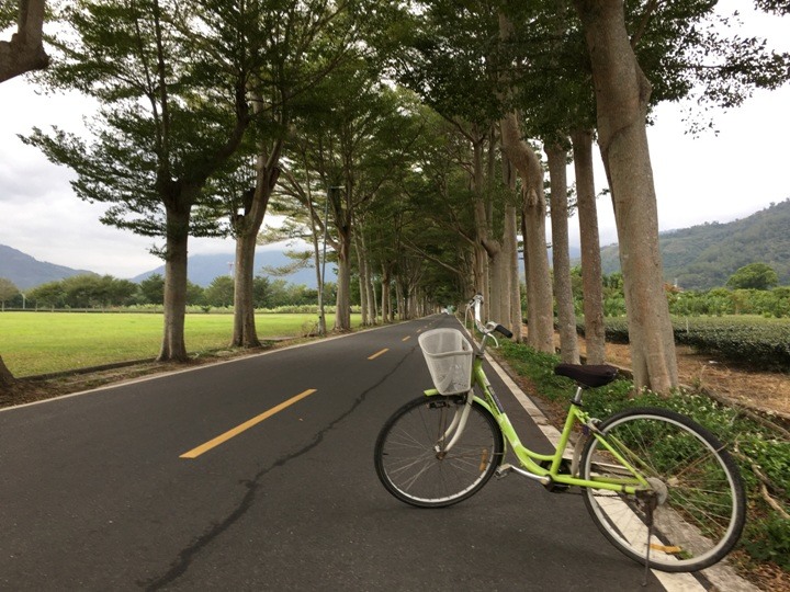 搭末班車「藍皮普快」騎遊台東鹿野