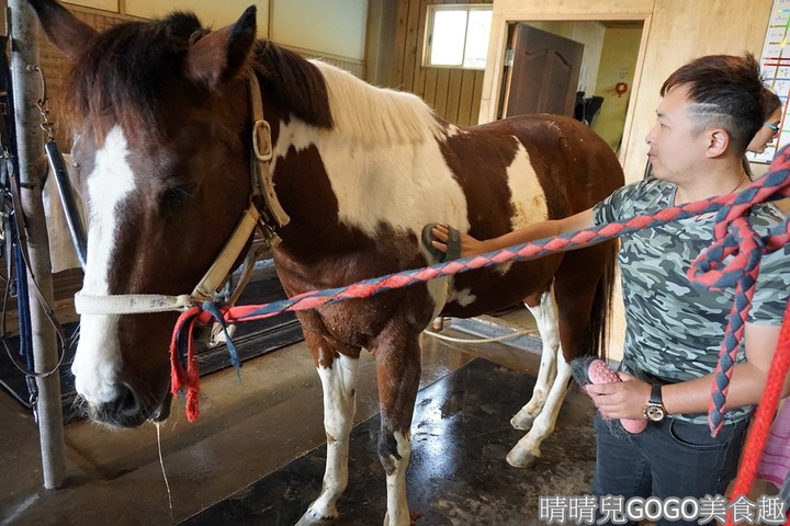 新竹縣.新埔-大日馬術文創園區.冬夏令營.英式馬場馬術體驗.馬術運動.地址|電話|營業時間