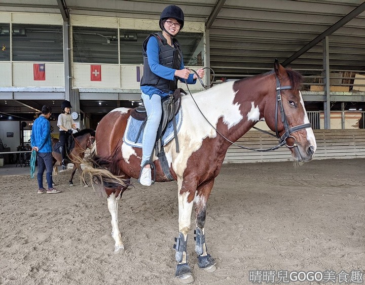 新竹縣.新埔-大日馬術文創園區.冬夏令營.英式馬場馬術體驗.馬術運動.地址|電話|營業時間