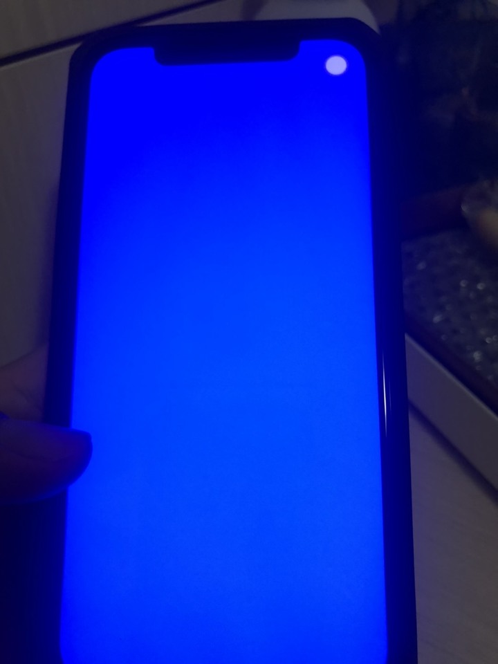 iPhone 12 螢幕出現殘影(烙印?) - 更新復原照片