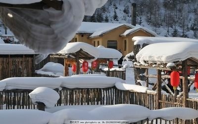 東北這幾天下暴雪，好想去東北玩雪啊