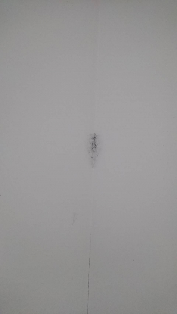 這是漏水還是發霉！