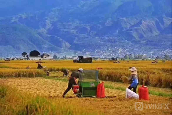 外匯天眼：用數學和概率做交易（一位隱居大理的交易員的策略）