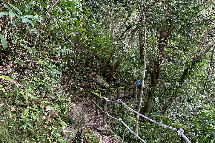 新北烏來｜內洞國家森林遊樂區｜水墨畫般內洞瀑布群