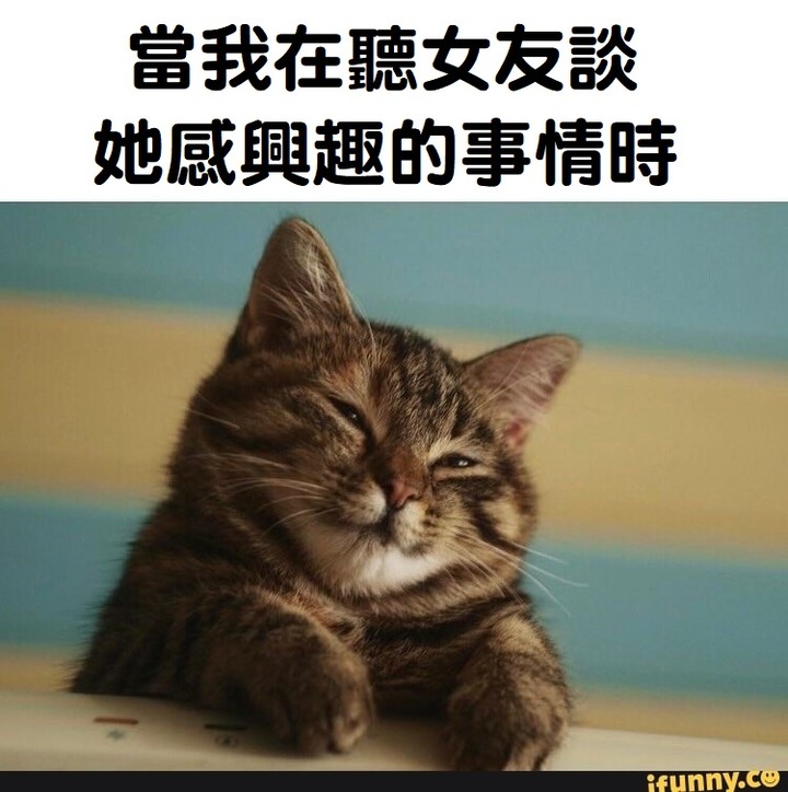 11.4 趣味梗圖 🐻🐻