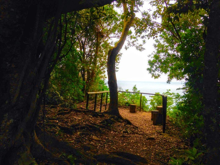 海蝕洞與朝陽步道