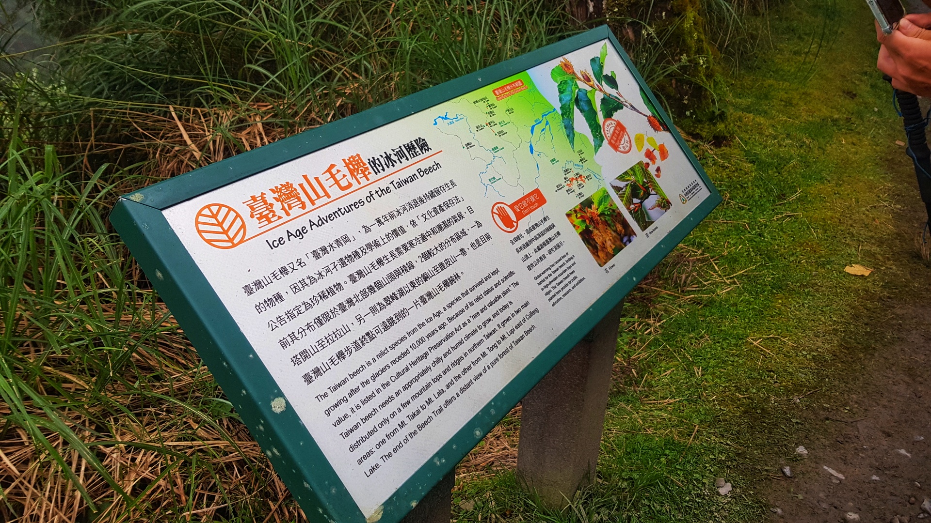 2020.10.31-11.01 季節限定:寒溪 - 翠峰景觀道路