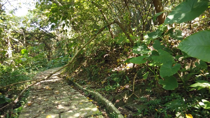 [樂山童盟] [台北南港] 更寮古道-山豬窟尖-土庫岳-栳寮古道