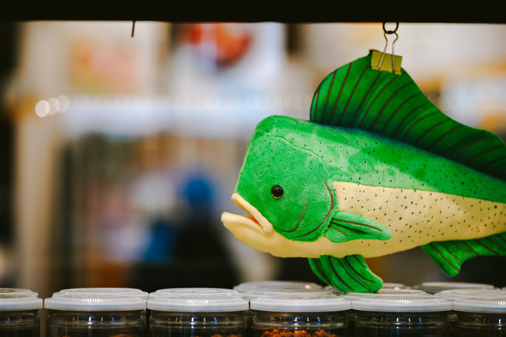 點我看大圖 【α7R4】台東走走