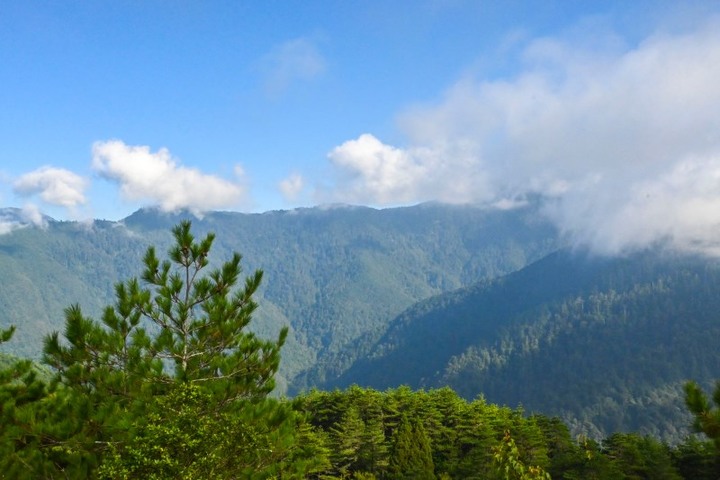 仙境之旅兩天一夜,看遍梨山最美風景、忘卻塵世煩憂!