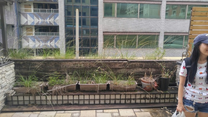 【開箱文】30多歲靠自己台北市買老房的裝潢歷程。