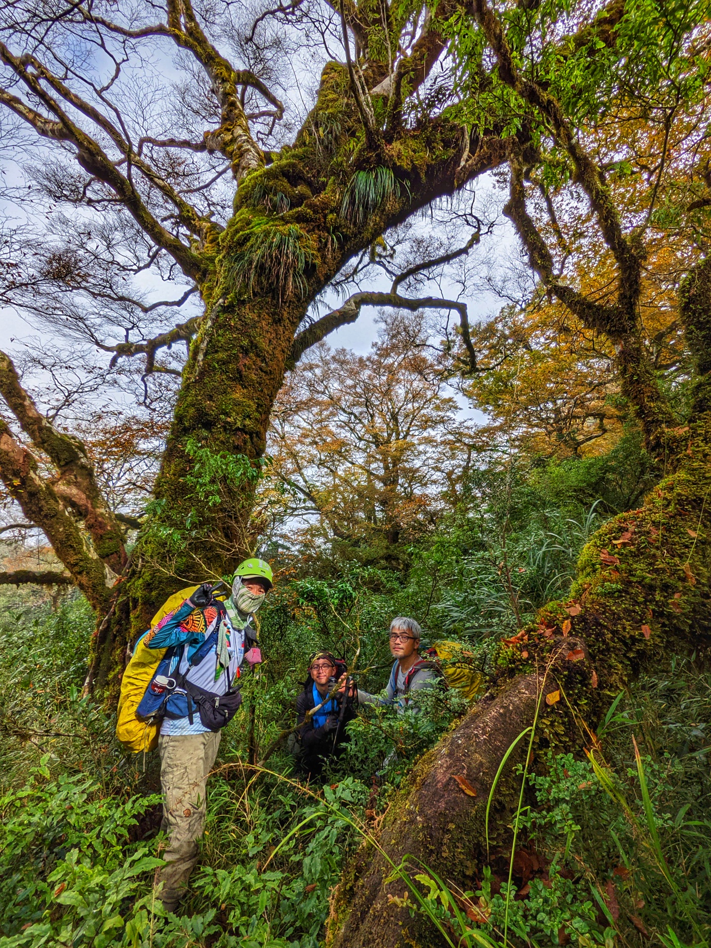 2020.10.31-11.01 季節限定：寒溪 - 翠峰景觀道路