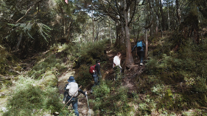 新手入門百岳 | 郡大山 一次享受輕鬆野營無敵大景
