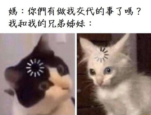 11.4 趣味梗圖 🐻🐻