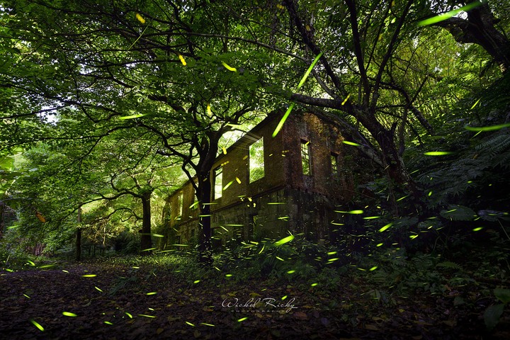 全幅初體驗,我的NIKON Z7周歲回顧