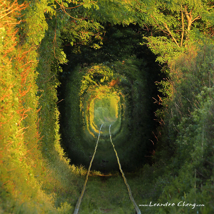 愛的隧道 - 綠色火車鐵路隧道 EOS M5