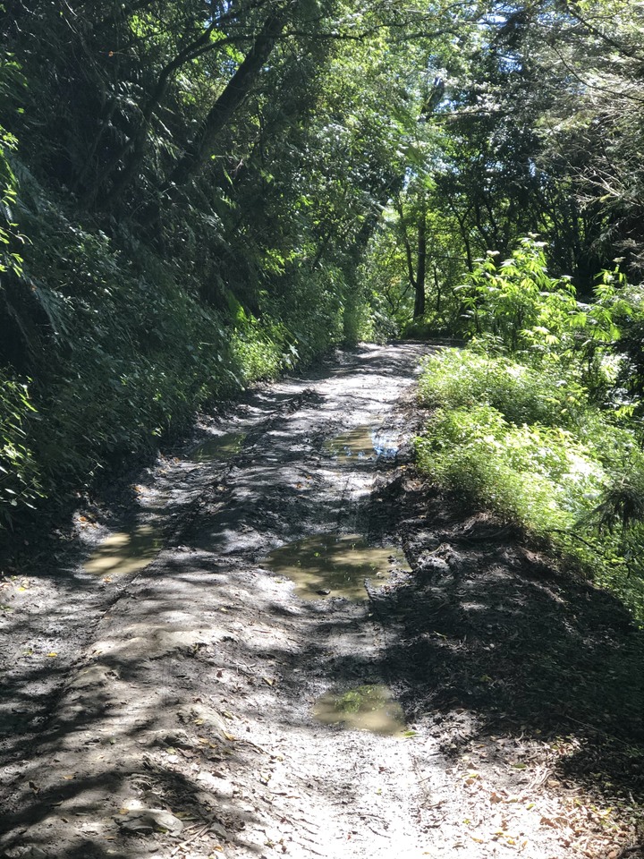 Bikepacking如詩如畫的合歡溪步道 X 瑞岩溫泉