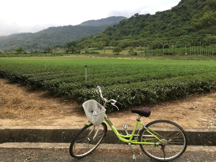 搭末班車「藍皮普快」騎遊台東鹿野