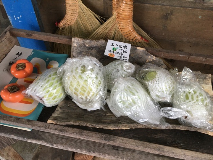 搭末班車「藍皮普快」騎遊台東鹿野