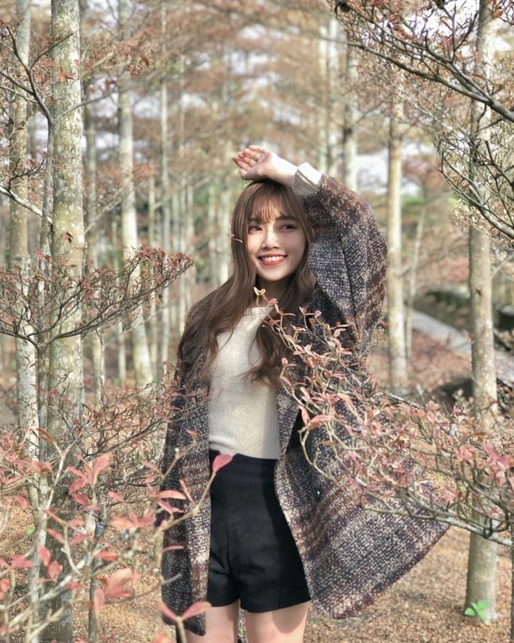 彰化田尾必拍絕美「偽雪景」小葉欖仁森林