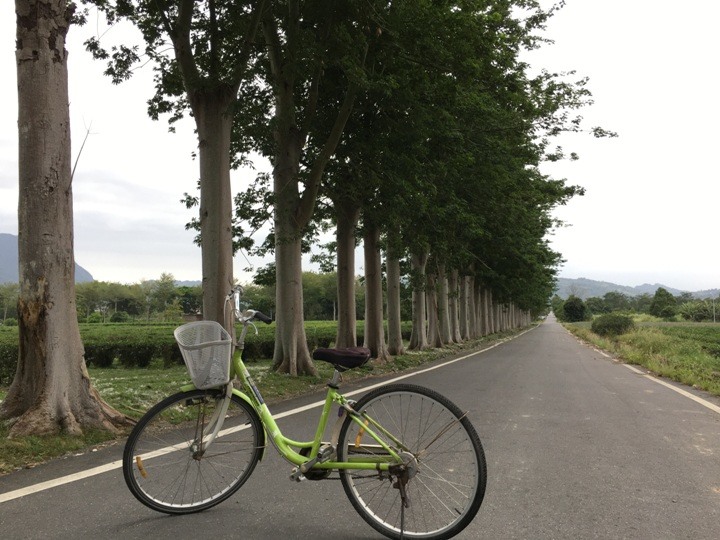 搭末班車「藍皮普快」騎遊台東鹿野