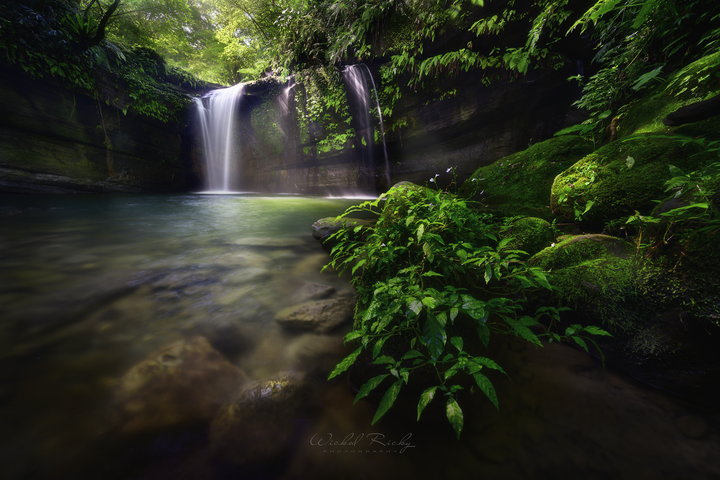 全幅初體驗,我的NIKON Z7周歲回顧