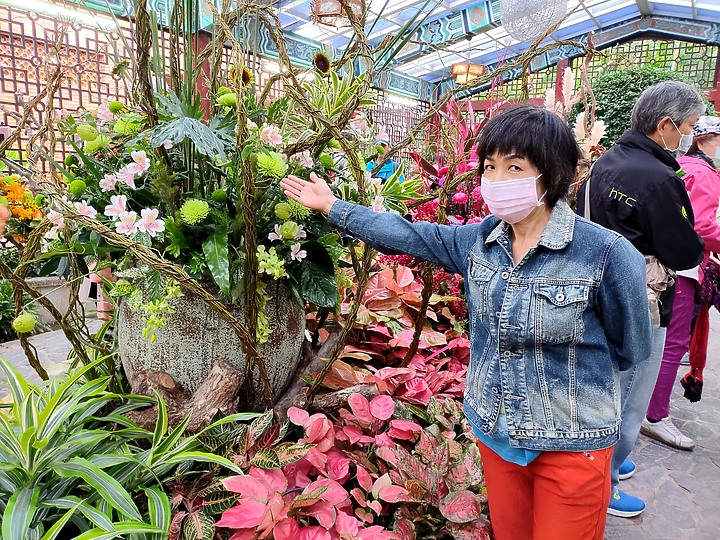 分享 士林官邸菊展-用htc拍的媽媽