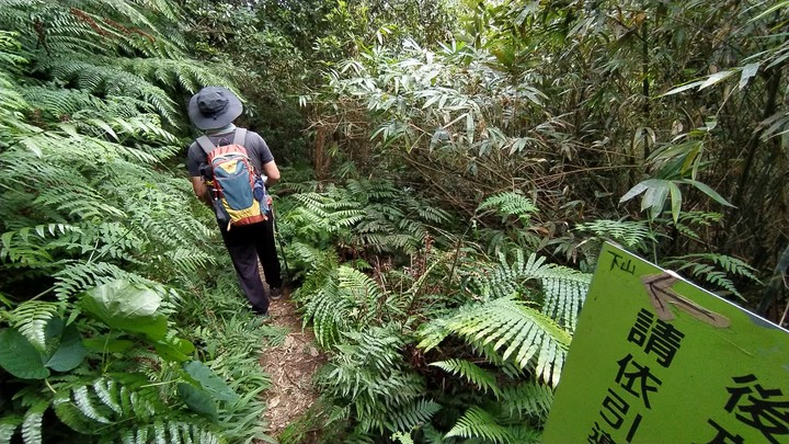 [樂山童盟] [基隆暖暖] 暖東峽谷步道