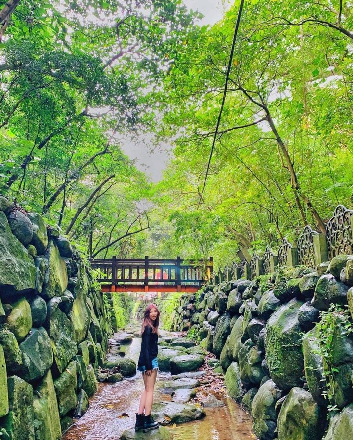 台北信義區爆紅虎山登山步道！感受愜意的小橋流水、綠樹成蔭環繞