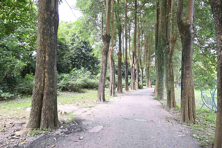 來潮州八大森林魔法樂園享受平地的森林浴吧！
