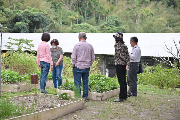 到台東拍到遊隼垂直俯衝，欣賞小黃山、卑南溪、富源觀景台、卑南溪水利公園、頂岩灣四格山和美濃冰品。