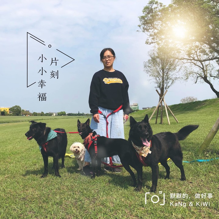 【試用】寵物家庭必備/acerpure cool 2合1空氣循環清淨機