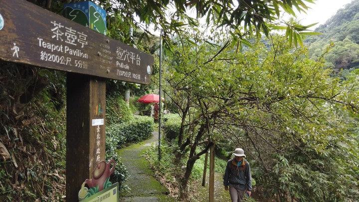 [樂山童盟] [台北文山] 茶香環狀步道(健康步道-茶展中心步道-壺穴步道-小天空步道)