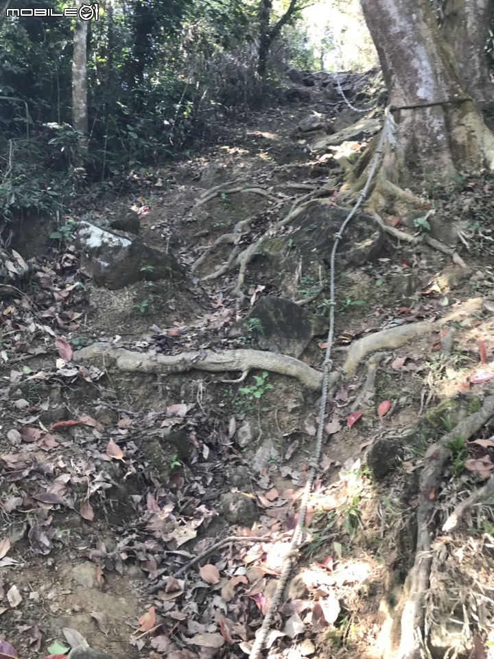 2020最後一登~~臺南烏山縱走