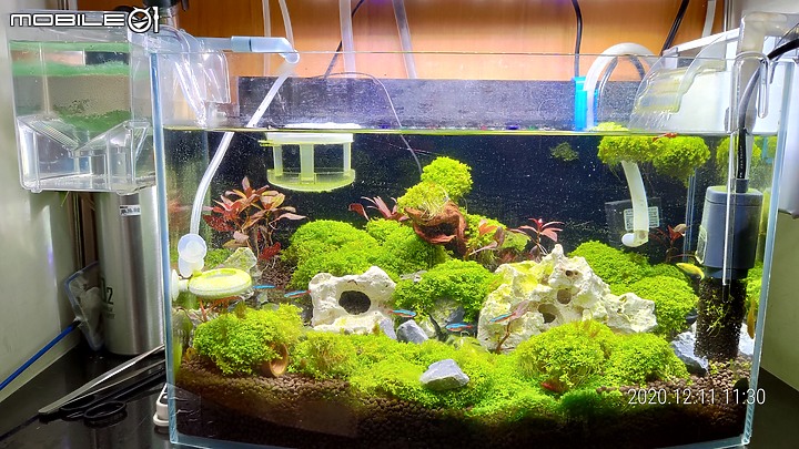湊出一個小魚缸用的軟水器, 不算DIY