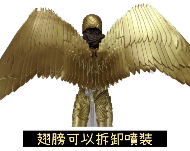 神力女超人 1984 麥法蘭 雙重套組 開箱