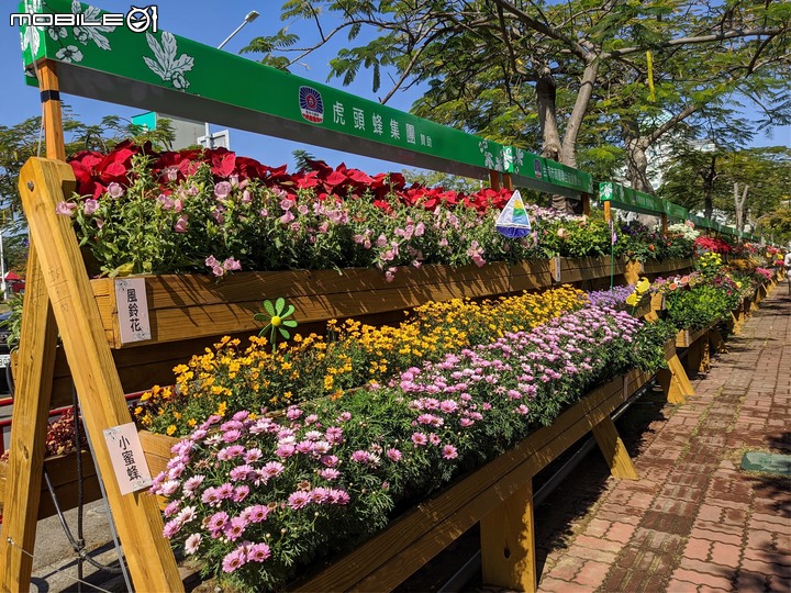 耶誕花道 台南市議會 12/26