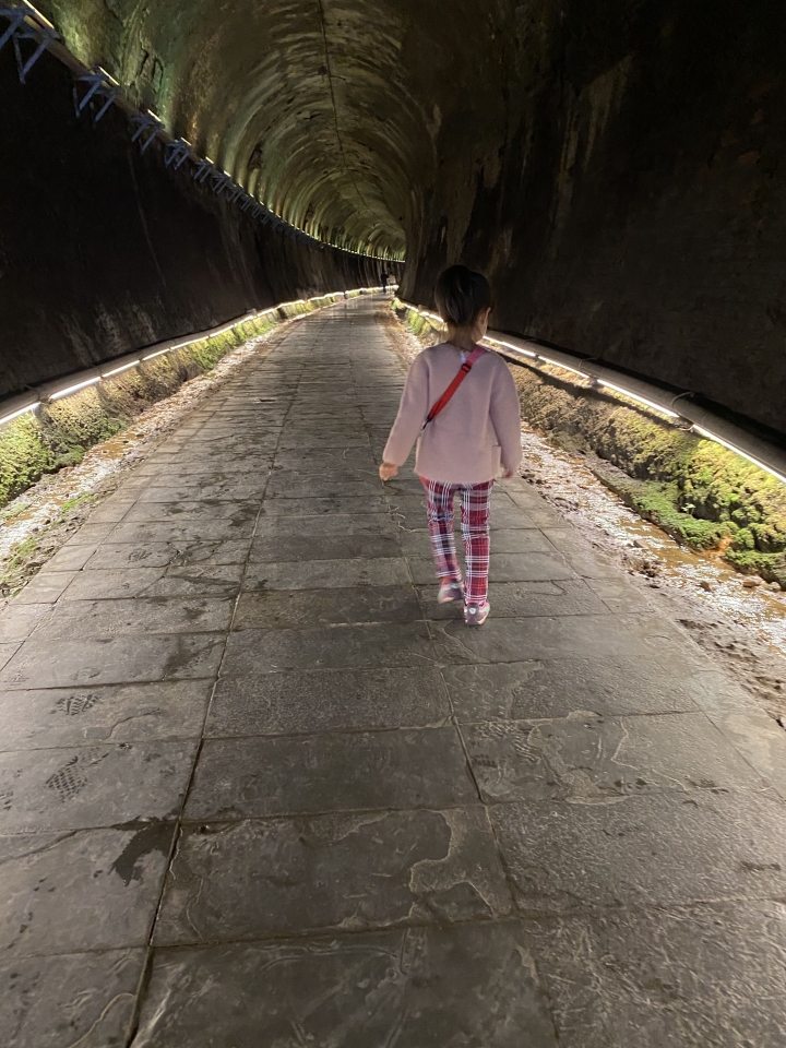全台最美隧道~苗栗貓貍山功維敘隧道